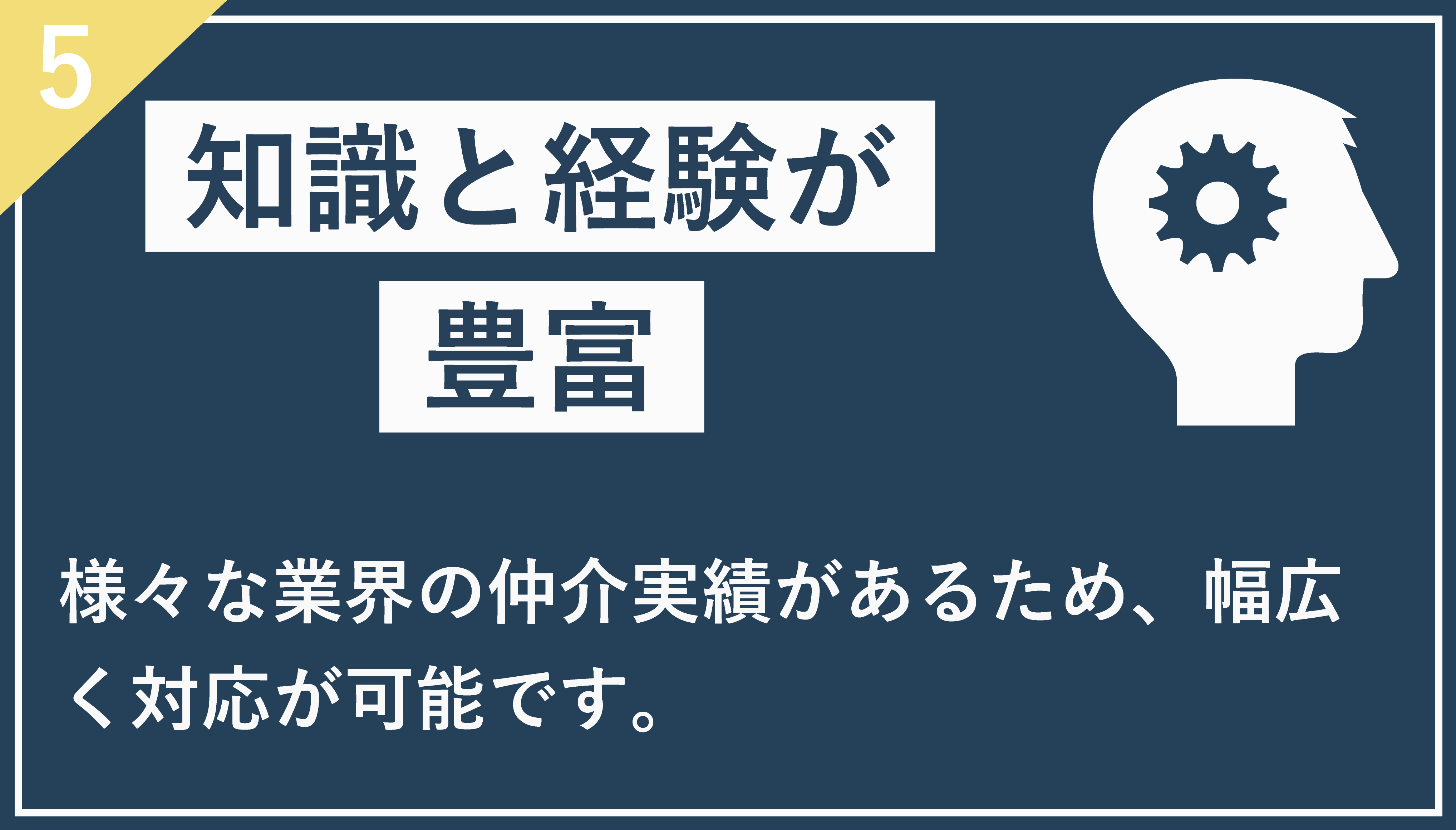 知識と経験が豊富